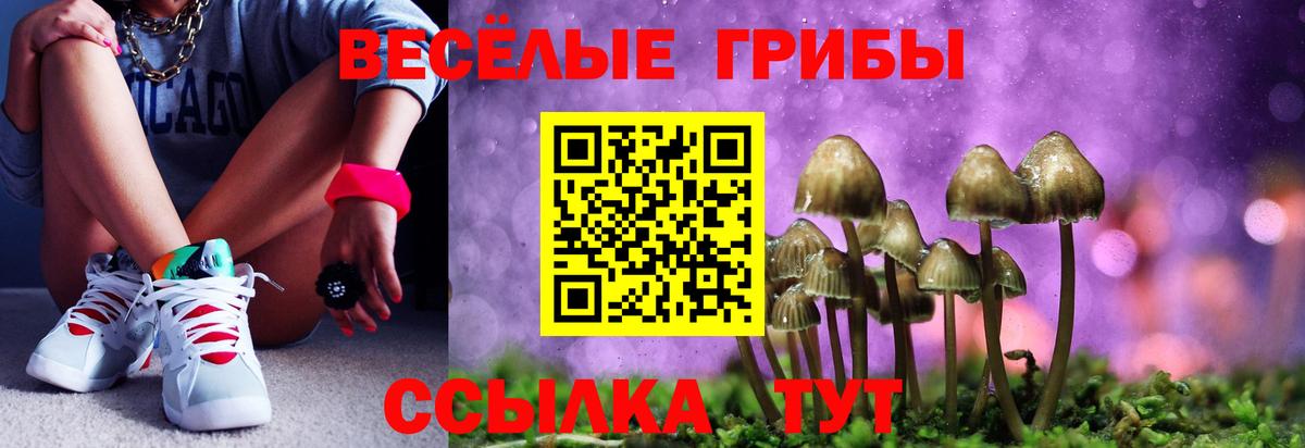 Псилоцибиновые грибы мухоморы Мегион