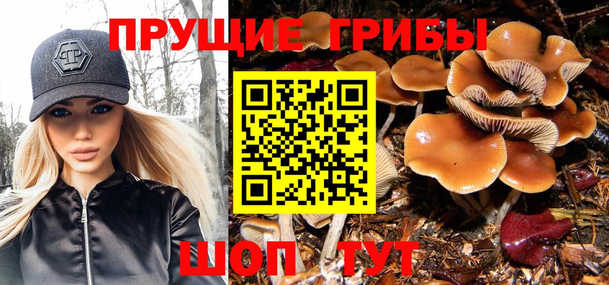 Псилоцибиновые грибы Magic Shrooms  Вход с VPN  Мегион  Псилоцибиновые грибы Magic Shrooms 